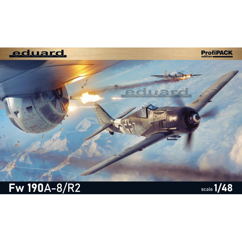 Eduard® maquette avion Fw 190A-8/R2 (ProfiPack edition) 1:48 référence 82145