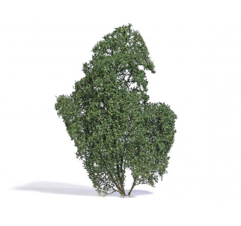 Busch® Arbuste en filigrane été vert moyen HO / O