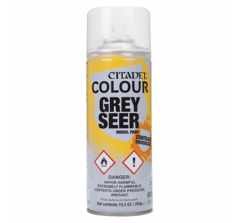 Bombe de peinture Citadel Grey Seer