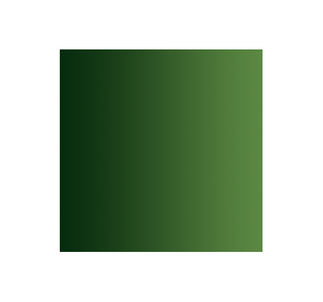 Vallejo 72465 – Xpress Color – Vert Forêt – Forest Green