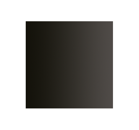 Vallejo 72476 – Xpress Color – Noir Graisseux – Greasy Black