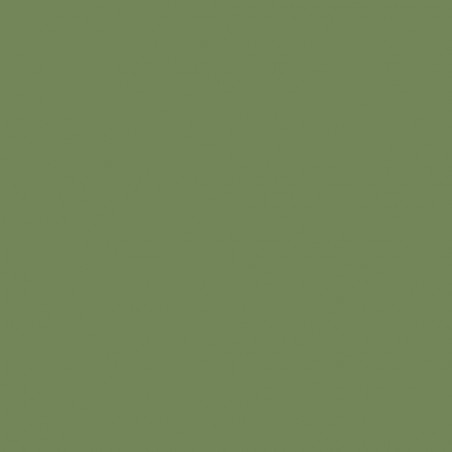 Prince August® Peinture Air (aérographe) Vert pâle
