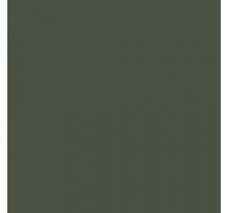 Prince August® Peinture Air (aérographe) vert uniforme