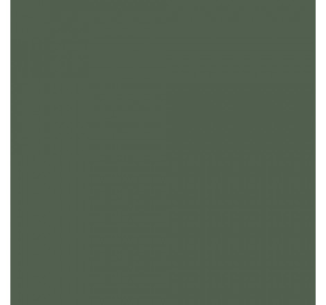 Prince August® Peinture Air (aérographe) vert foncé - hellgrün (US moderne)