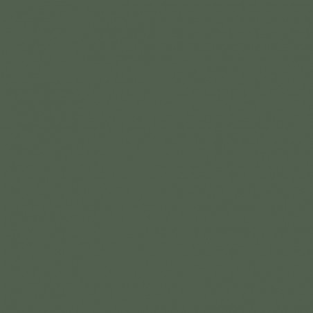 Prince August® Peinture Air (aérographe) vert foncé - hellgrün (US moderne)