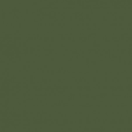 Prince August® Peinture Air (aérographe) vert zinc chromate