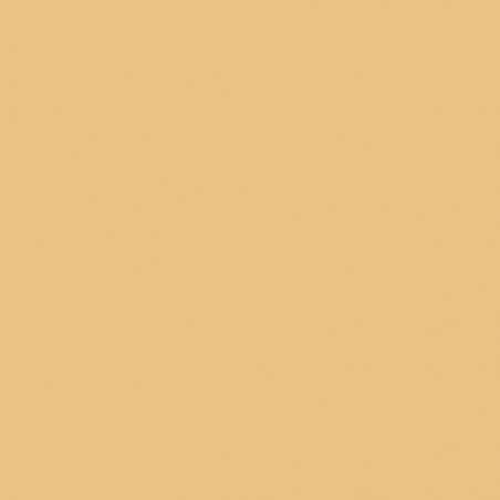 Prince August® Peinture Air (aérographe) beige radome