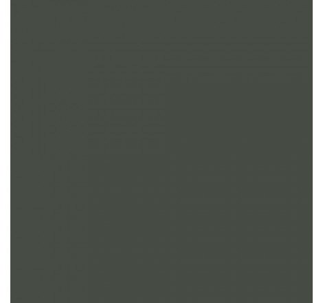 Prince August® Peinture Air (aérographe) camouflage vert foncé - I.J.N WW2