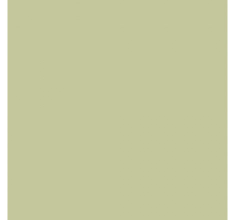 Prince August® Peinture Air (aérographe) Duck Egg Green – GB WWII