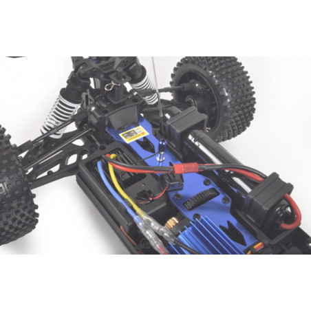 buggy brushless pour débuter