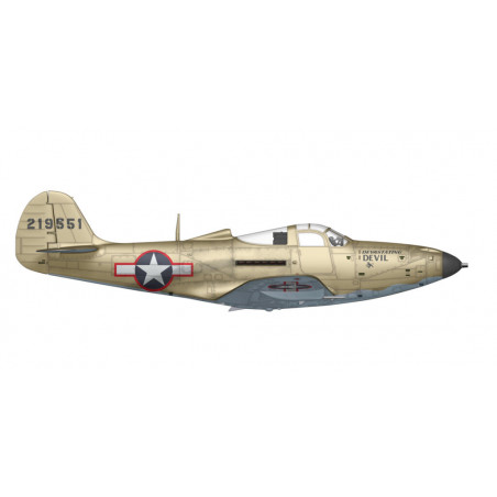 Arma Hobby® Maquette d'avion P-39Q Airacobra 1:48 référence 40010.