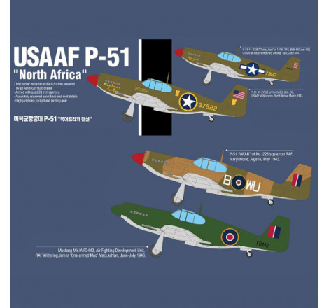 Academy® Maquette d'avion USAAF P-51 « North Africa » 1:48 référence 12338.