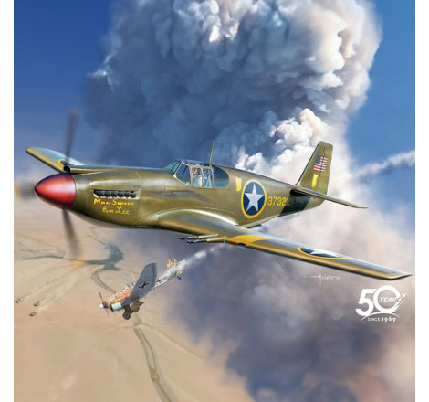 Academy® Maquette d'avion USAAF P-51 « North Africa » 1:48 référence 12338.