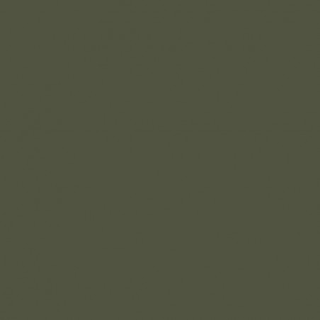 Prince August® Peinture Air (aérographe) vert foncé - URSS WW2 - Olivegrün référence P017