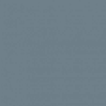 Peinture Prince August Air Bleu gris US P114