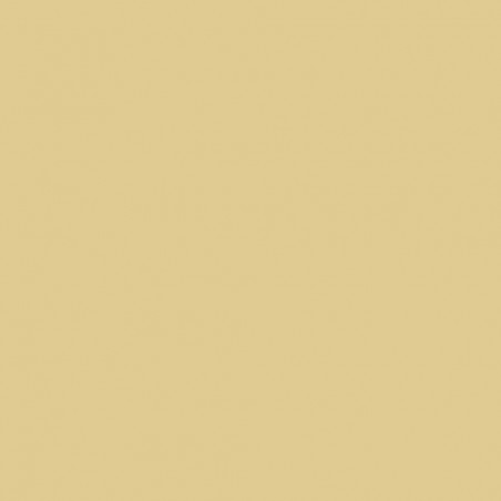 Prince August® Peinture acrylique Classic Beige - P917