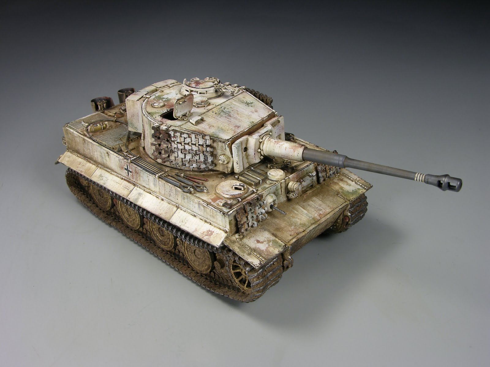 winter tiger 1/48