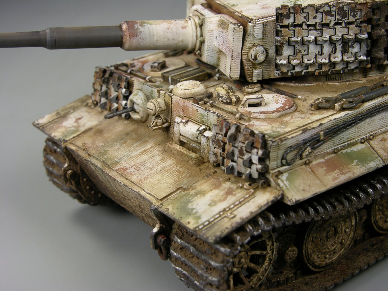 winter tiger 1/48