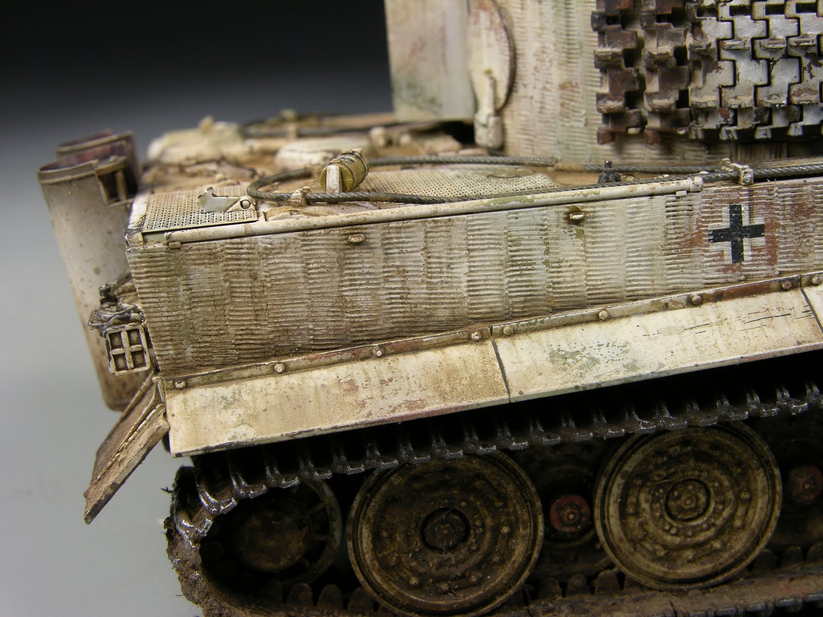 winter tiger 1/48