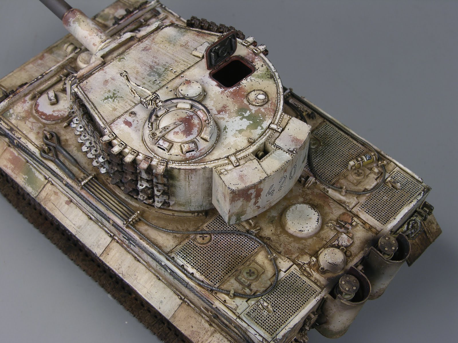 winter tiger 1/48