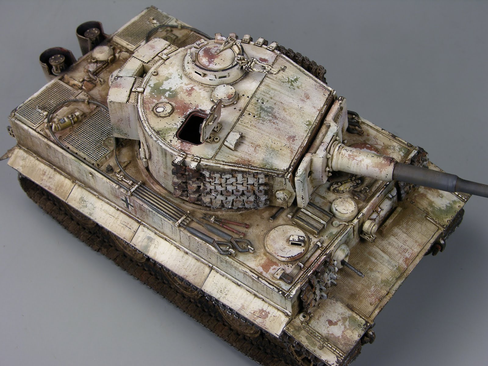 winter tiger 1/48