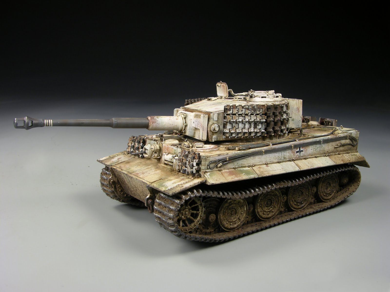 winter tiger 1/48