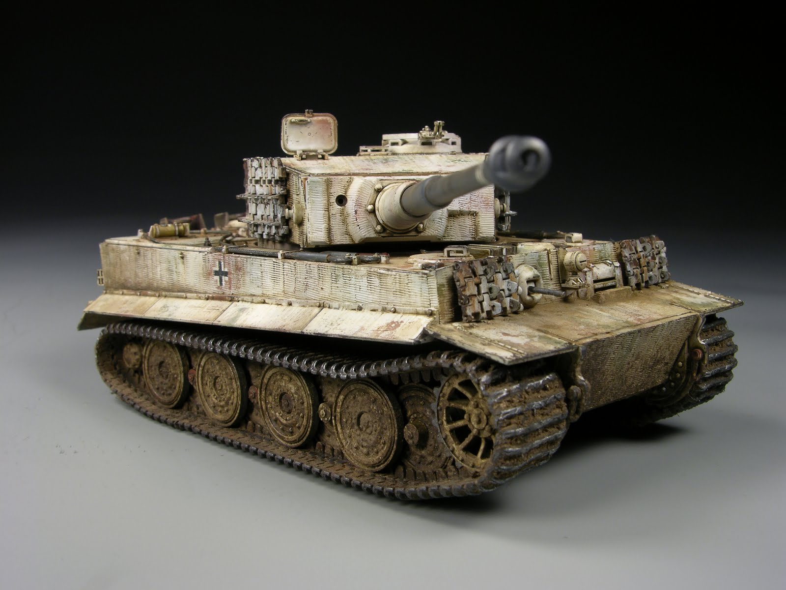 winter tiger 1/48