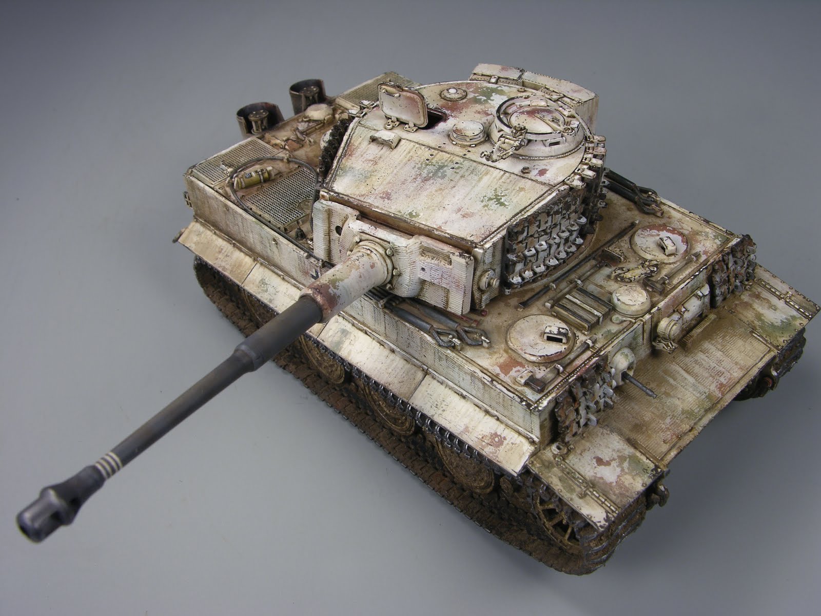 winter tiger 1/48