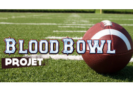 Projet : réalisation d'une table de jeu Blood Bowl (terrain de foot)